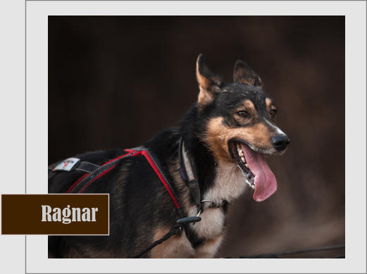 Ragnar