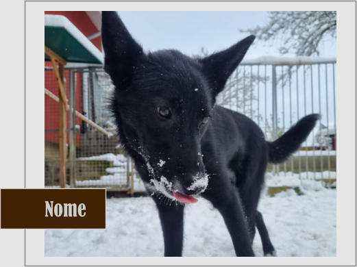 Nome