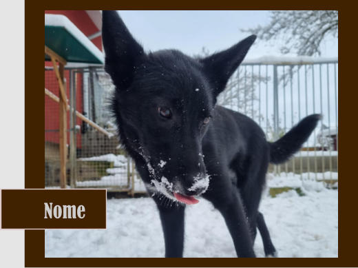 Nome