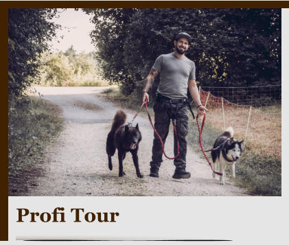 Profi Tour
