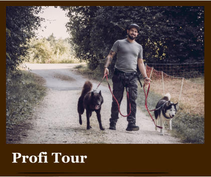 Profi Tour