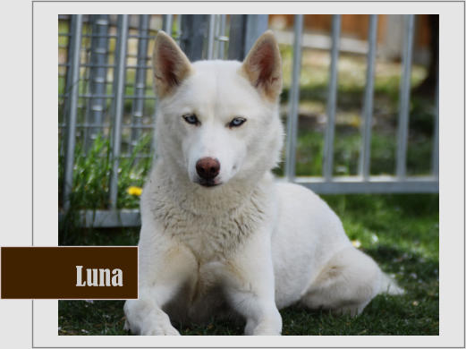 Luna