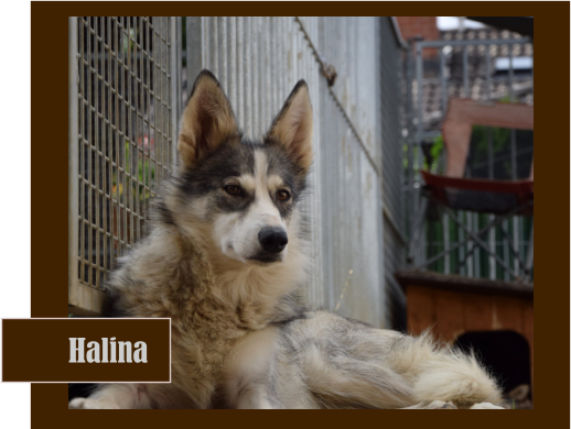 Halina