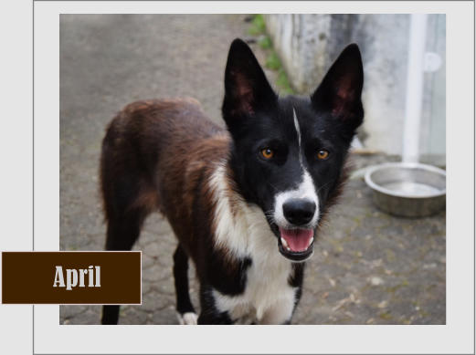 April