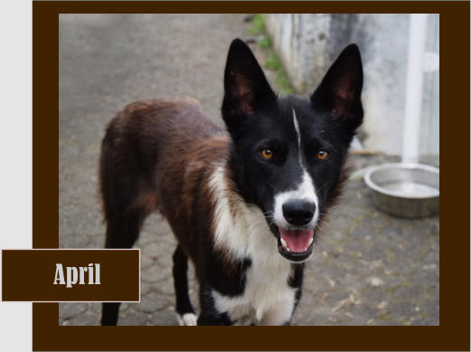 April